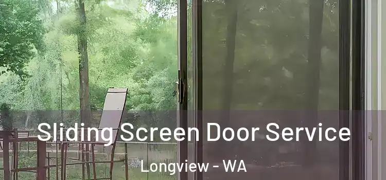Sliding Screen Door Service Longview - WA